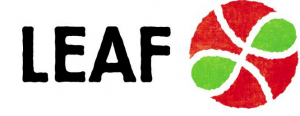 LEAF Global Arts logo