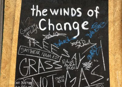 Embrace the Winds of Change
