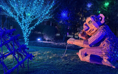 Whimsy and Wonder: Storybook Trolls and Reclaimed Wood Art Transform The North Carolina Arboretum