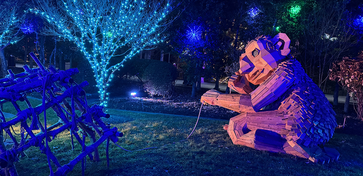 Trolls: A Field Study at the NC Arboretum