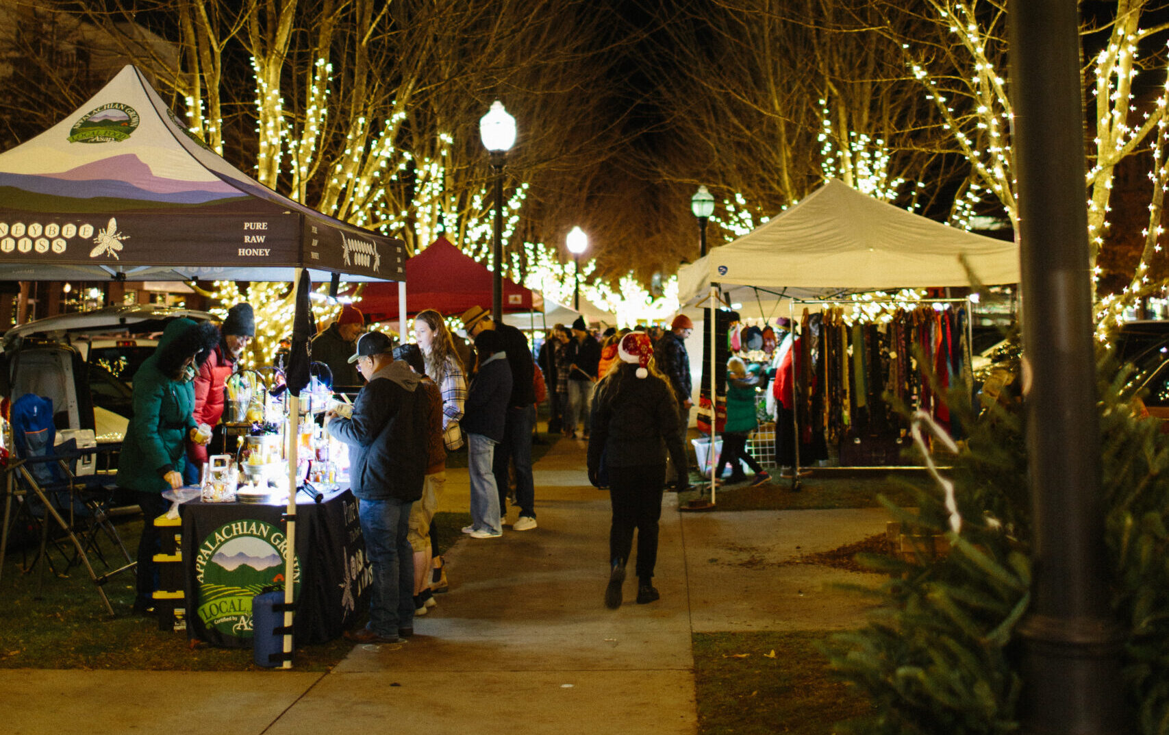 Shoppers downtown, photo courtesy of the Asheville Downtown Association