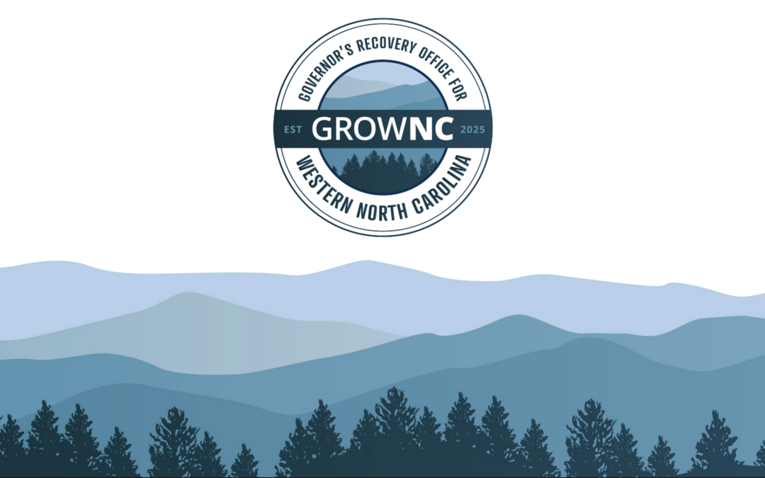 Arts Recovery Enters State-Level Conversations on Western North Carolina’s Future